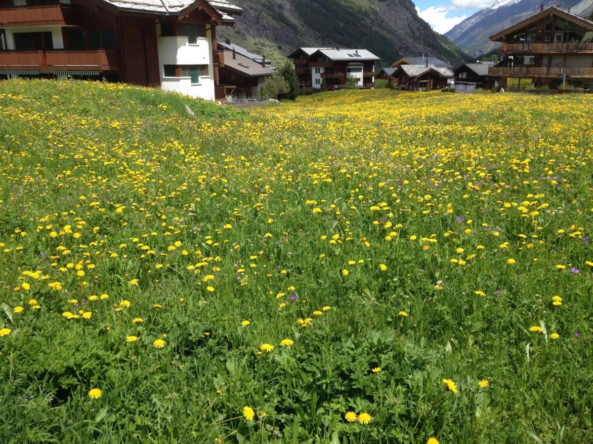 Haus Marico Daire Zermatt Dış mekan fotoğraf