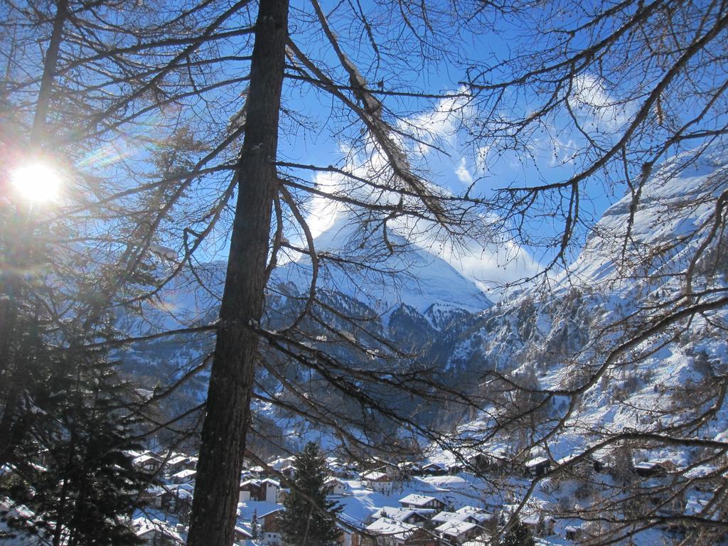 Haus Marico Daire Zermatt Dış mekan fotoğraf